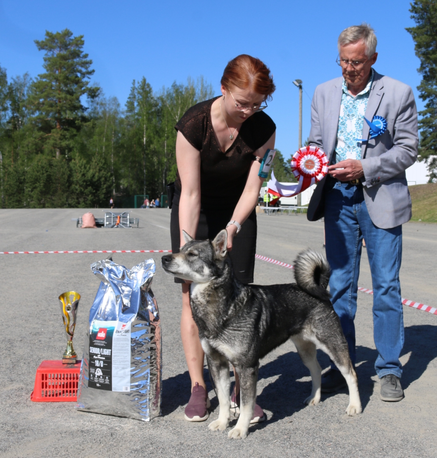 BIS_VET kuva