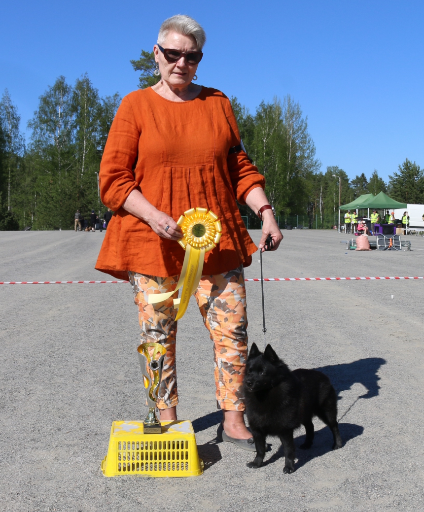 BIS_VET kuva